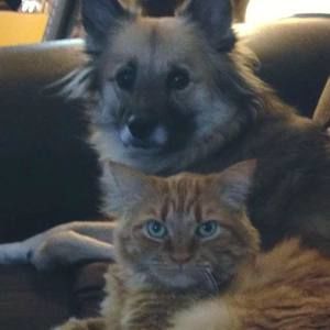 Meet your Posher, James